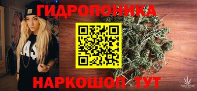 молекула духа Кингисепп