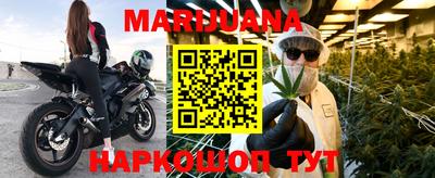 молекула духа Кингисепп