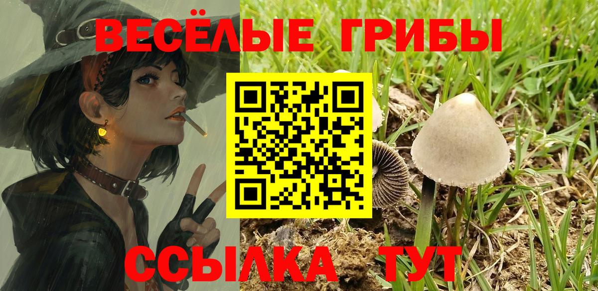 Галлюциногенные грибы Magic Shrooms Чернушка