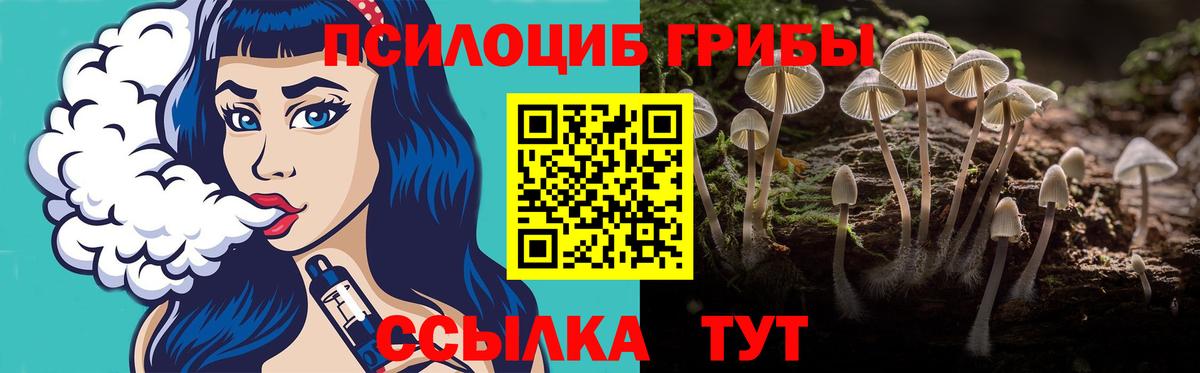 Чернушка  Галлюциногенные грибы MAGIC MUSHROOMS  Вход с VPN 
